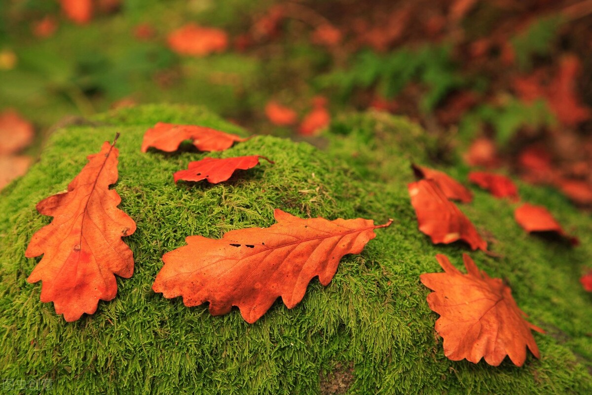 皮肤感觉瘙痒一挠就破皮出血,瘙痒挠破皮了可以抹药吗