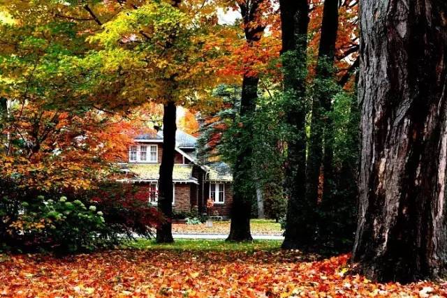 长沙身份证430102,长沙42开头的身份证