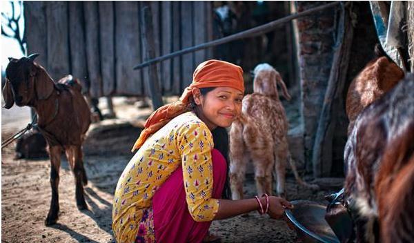 尼泊尔的一妻多夫制,尼泊尔一妻多夫制的条件