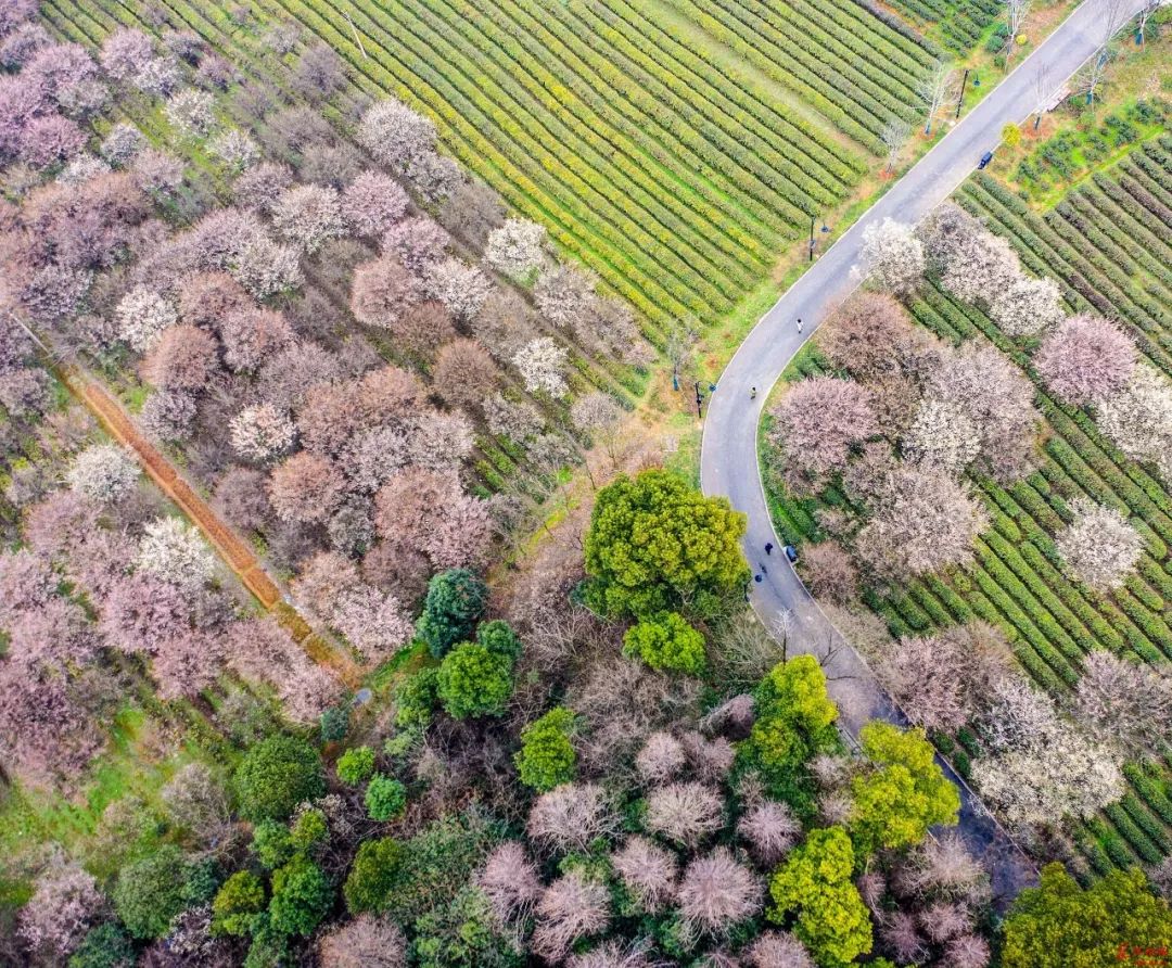 武汉冷门自驾免费景点,武汉旅游景点免费预约