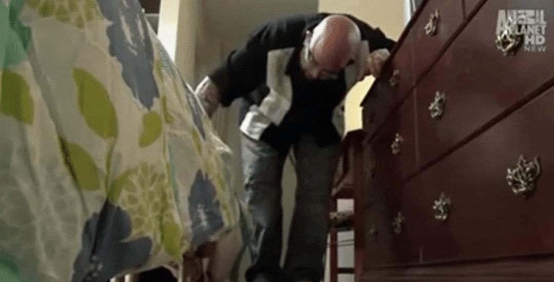 猫为什么总凶别人,猫为什么凶新来家的小猫