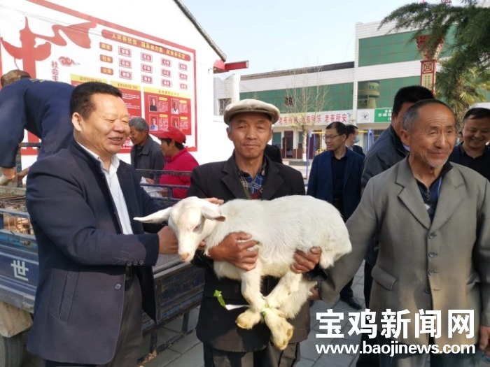 宝鸡农村贫困户养殖牛有什么政策,陕西省宝鸡市眉县养殖