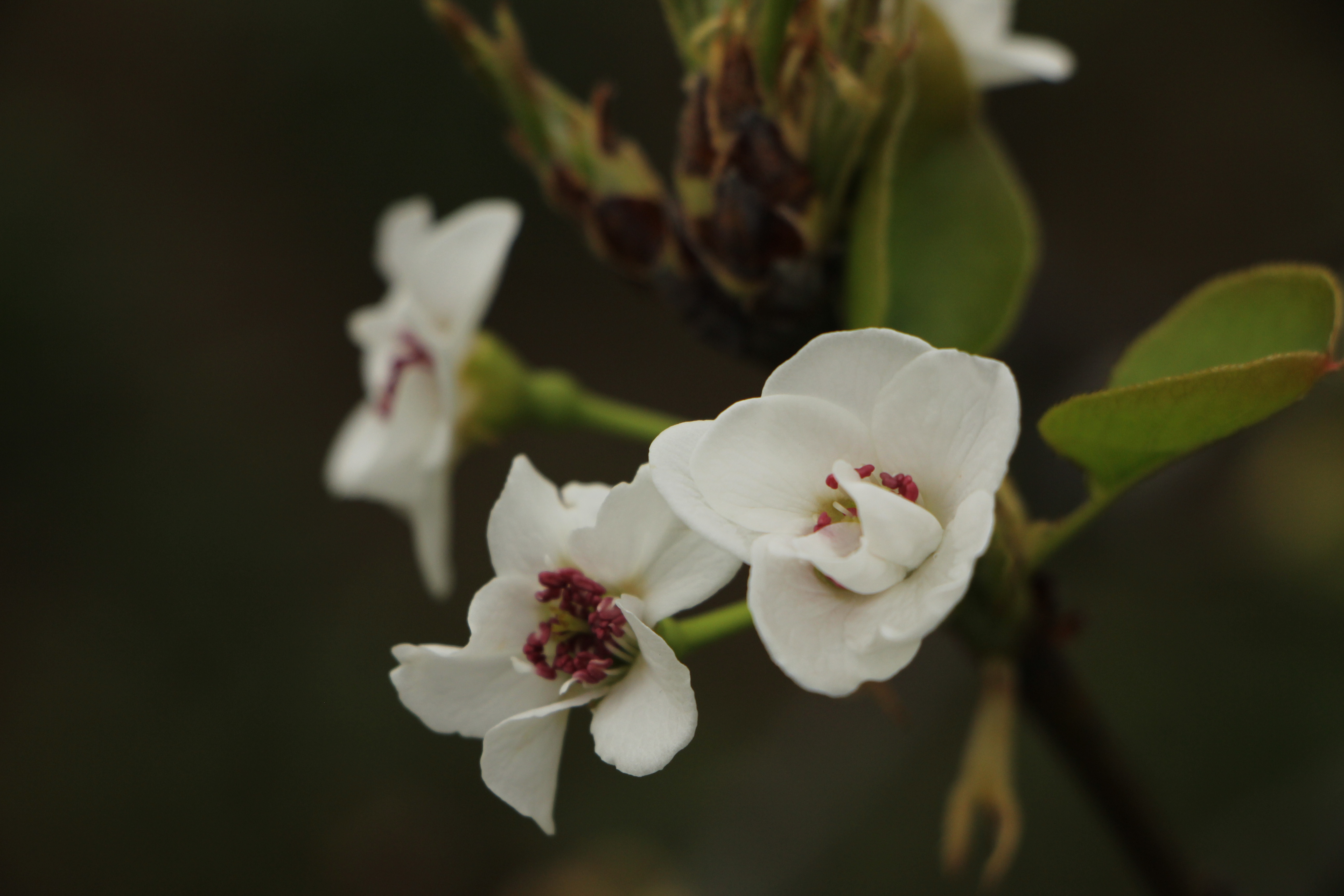 恶有恶报应该怎么做,恶有恶报还能补救吗