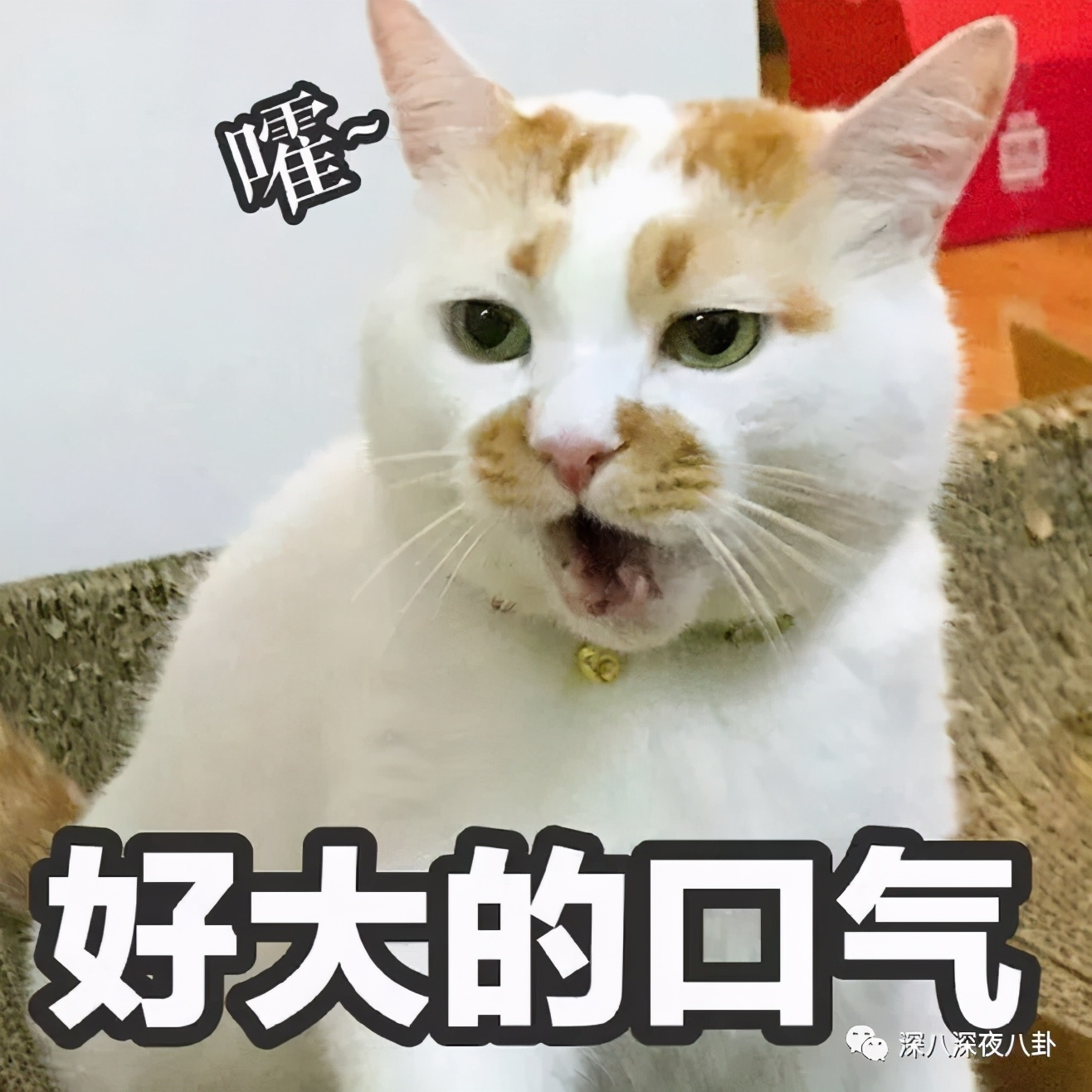 是我们太敏感,还是他们在引战?