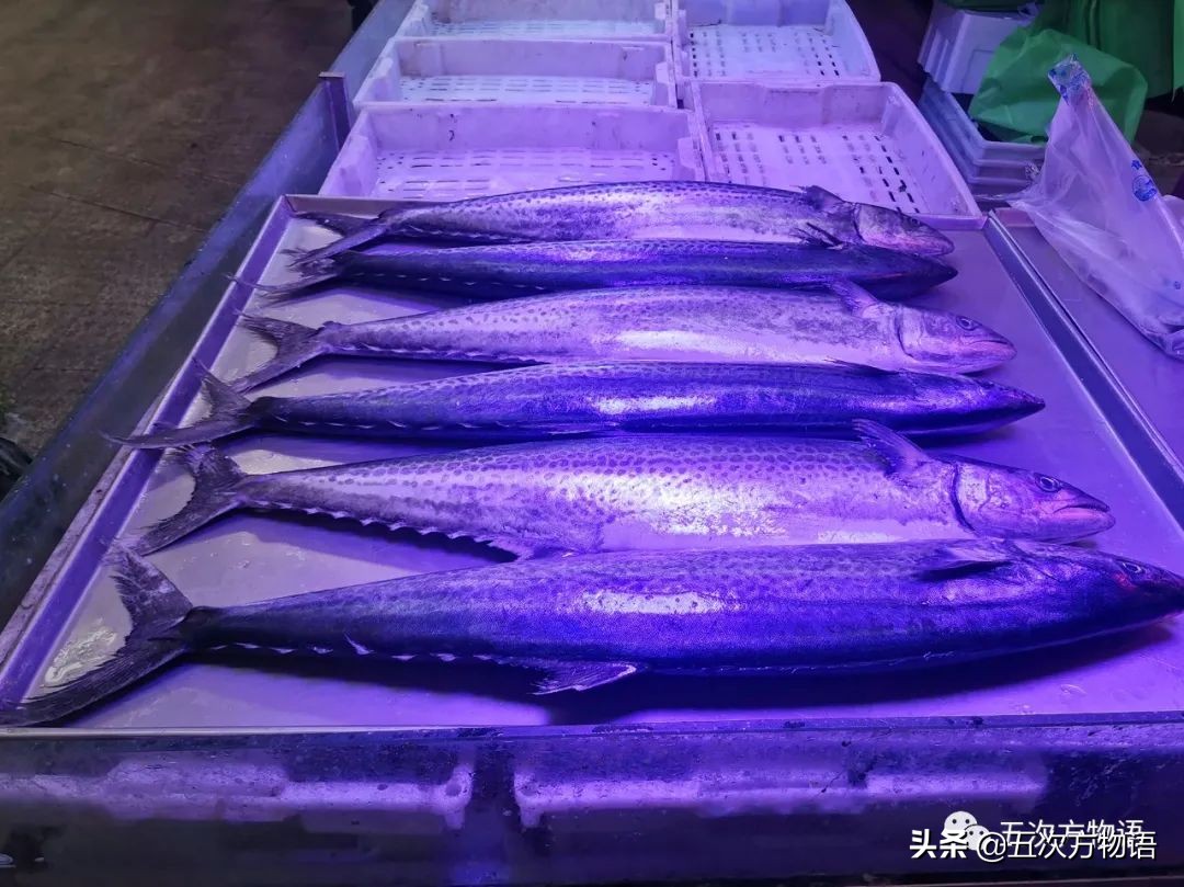 青岛海鲜市场价格表今日,青岛哪个农贸市场海鲜最便宜又好