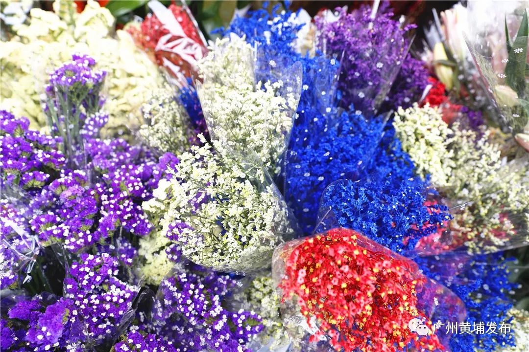 广州黄埔花市2023年什么时候开始,2020年黄埔花市