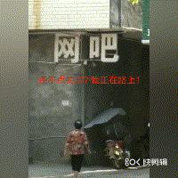狗狗鼻头褪色怎么治,狗狗鼻头褪色怎么回事