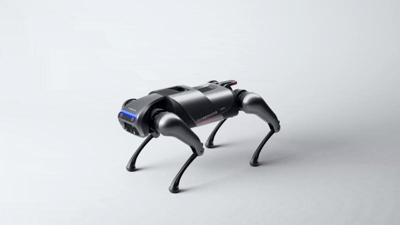 小米铁蛋波士顿动力,赛博铁蛋魔改