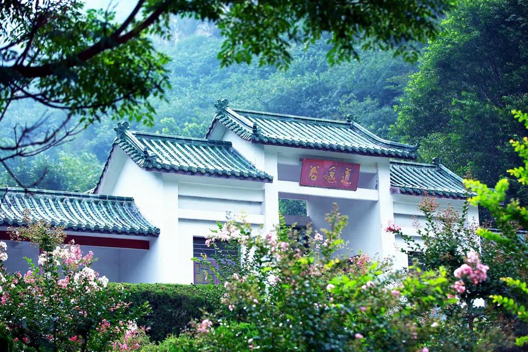 济南金象山在哪里,夏天济南带孩子一日游攻略免费