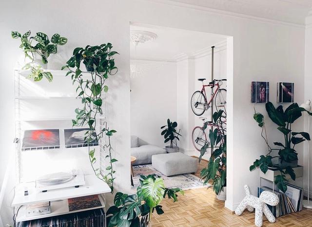 德国夫妇的二人世界：从无到有，全屋简约精致，治愈许多人