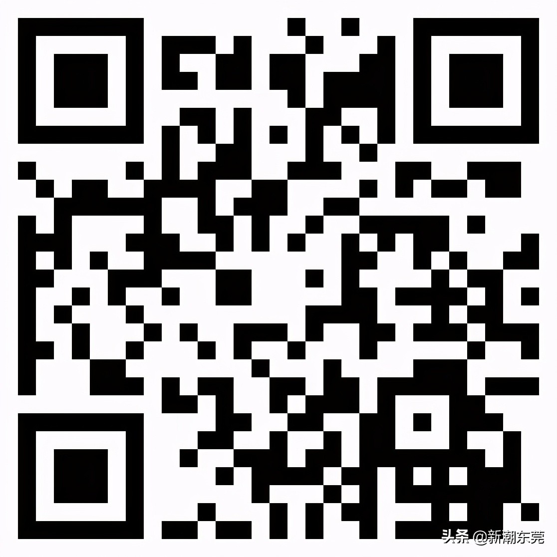 东莞外国语高中黑马,东莞黑马学校