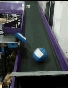 搞笑视频,搞笑动图gif兔子