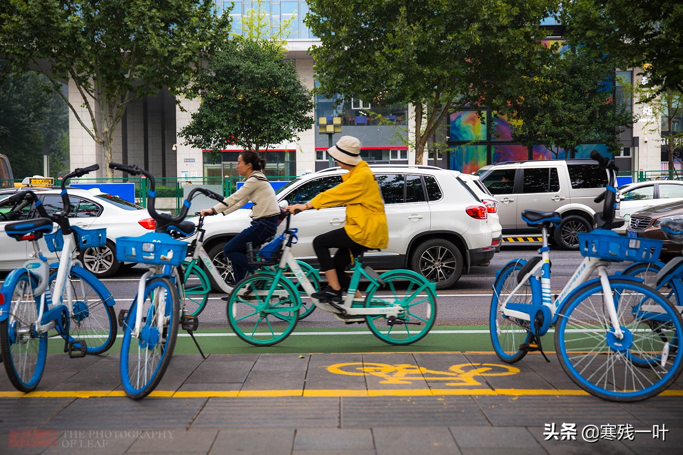 大度的西安，成公共自行车在国内发展最好的城市，全城人都在骑