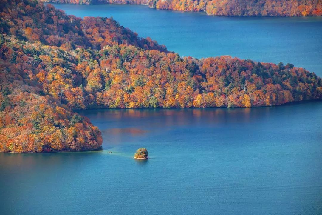 停车坐爱枫林晚风景,停车坐爱枫林晚季节