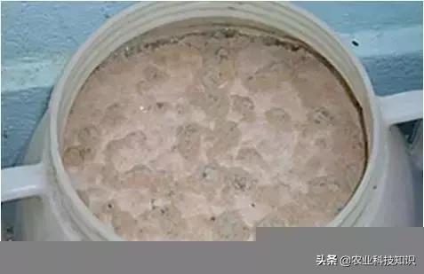 酵素制作，让厨余垃圾零废弃，秒变环保达人,内附制作方法