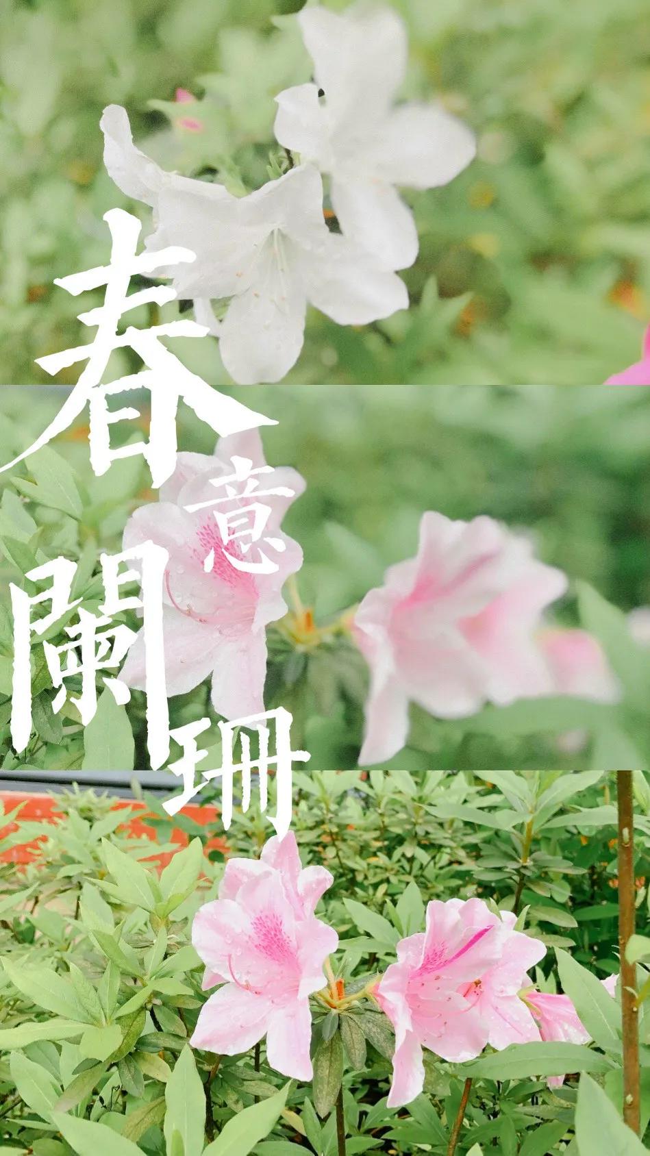 望城区的美景,望城的美景有哪些