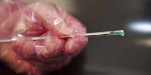 猪人工授精的行业现状,养猪是人工授精还是公猪授精好