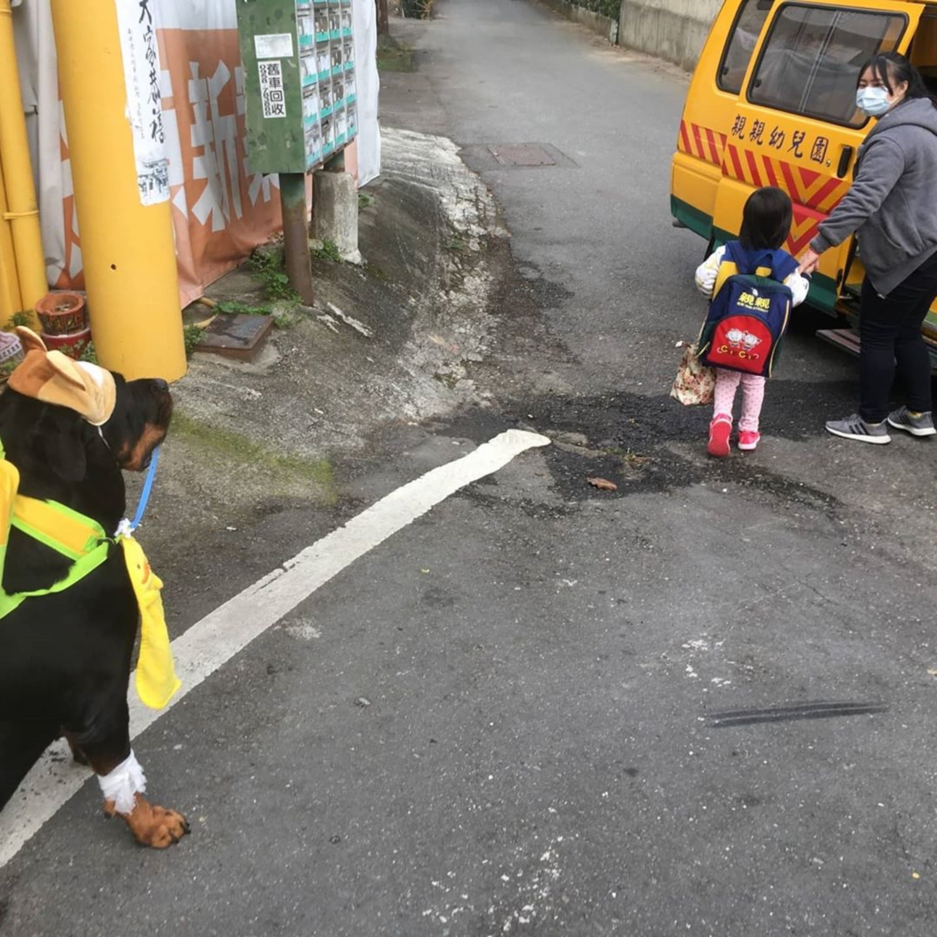 罗威纳成为奶奶的拐杖,120斤罗威纳犬视频