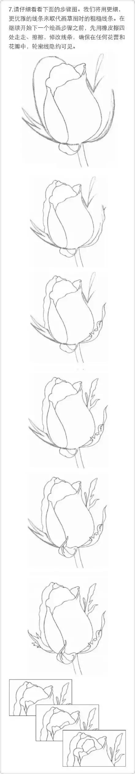 手拿玫瑰素描画,朱丽叶玫瑰素描画