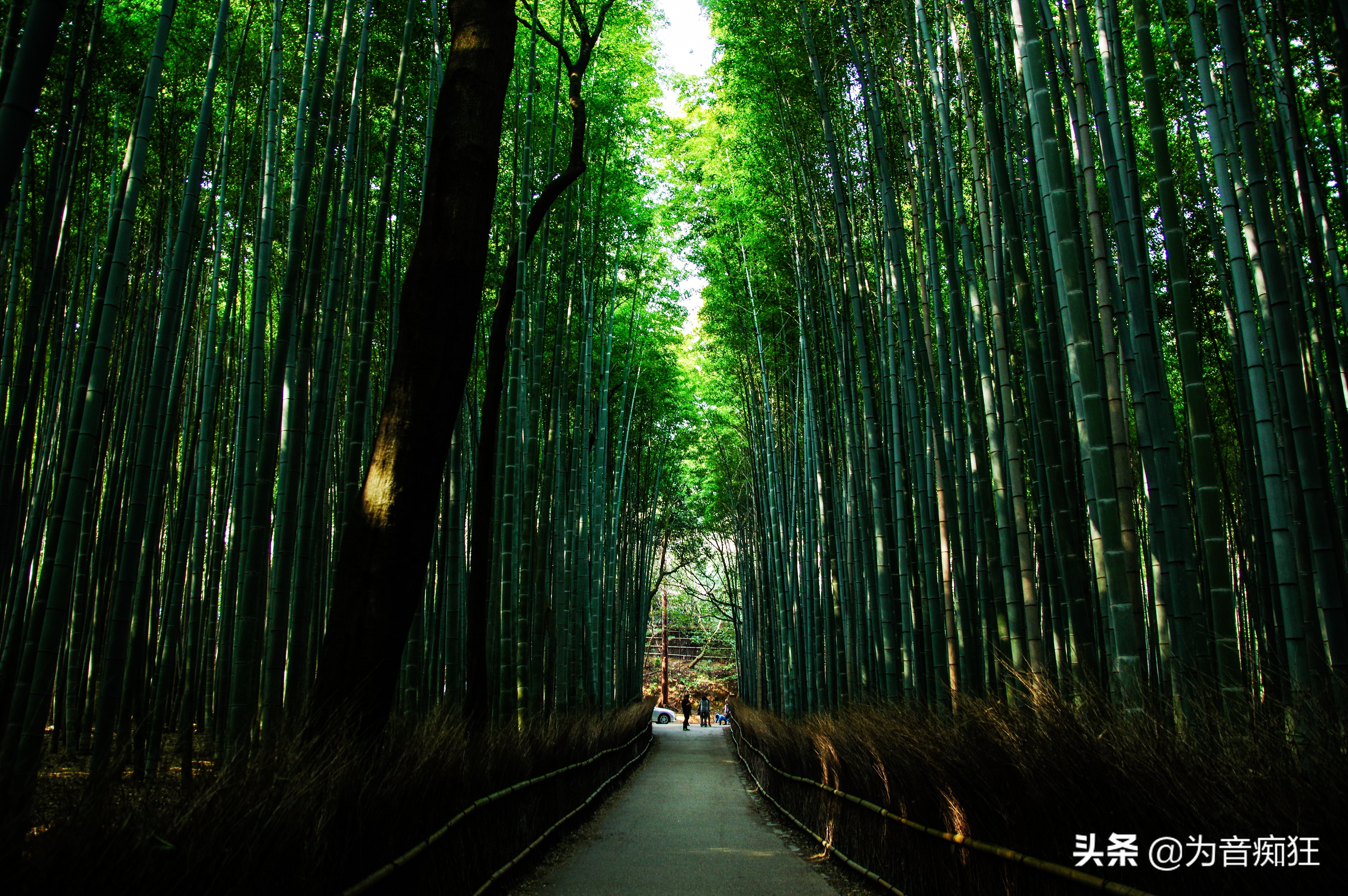 十首最好听的笛子曲谱,12首笛子曲曲谱