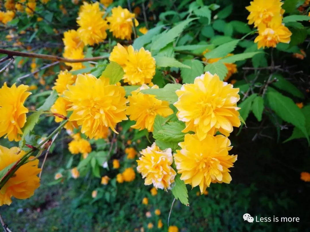 带你们看看济州岛的美景,济州岛的特色