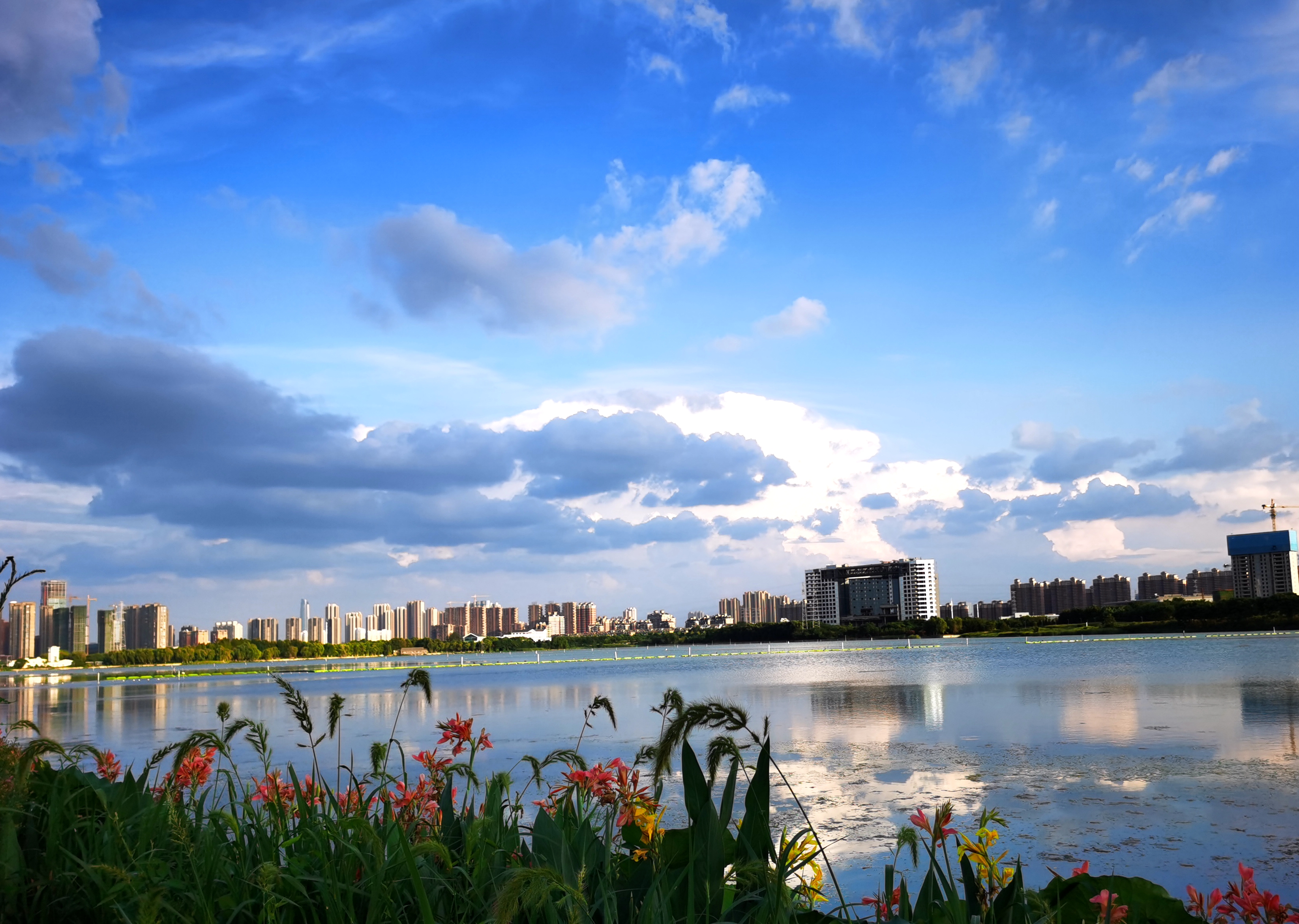 沉睡的历史与惊艳的现实——走读东西湖