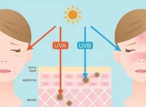 王一博、肖战都在用的防晒喷雾，真的好用吗？