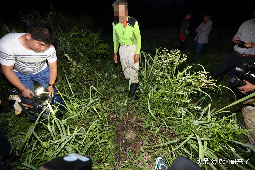 韩国世越号为什么学生不弃船,韩国世越号事件真相