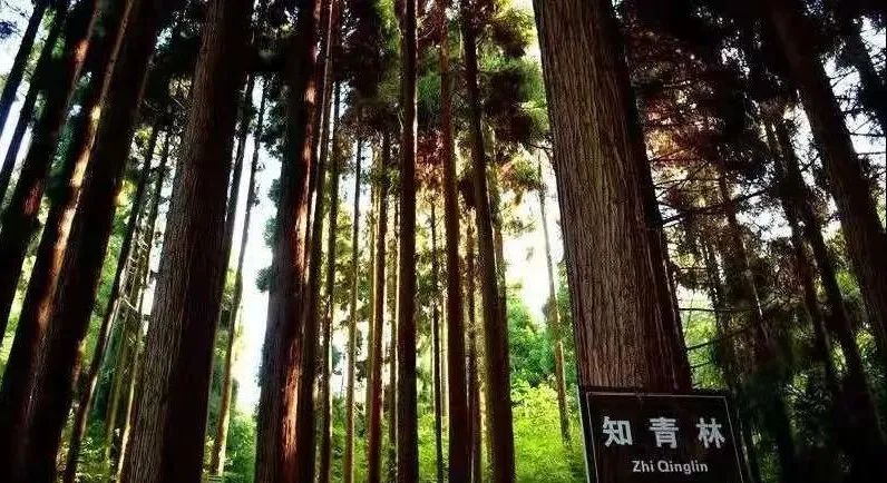 达州一座有温度的城市,达州一个有温度的城市