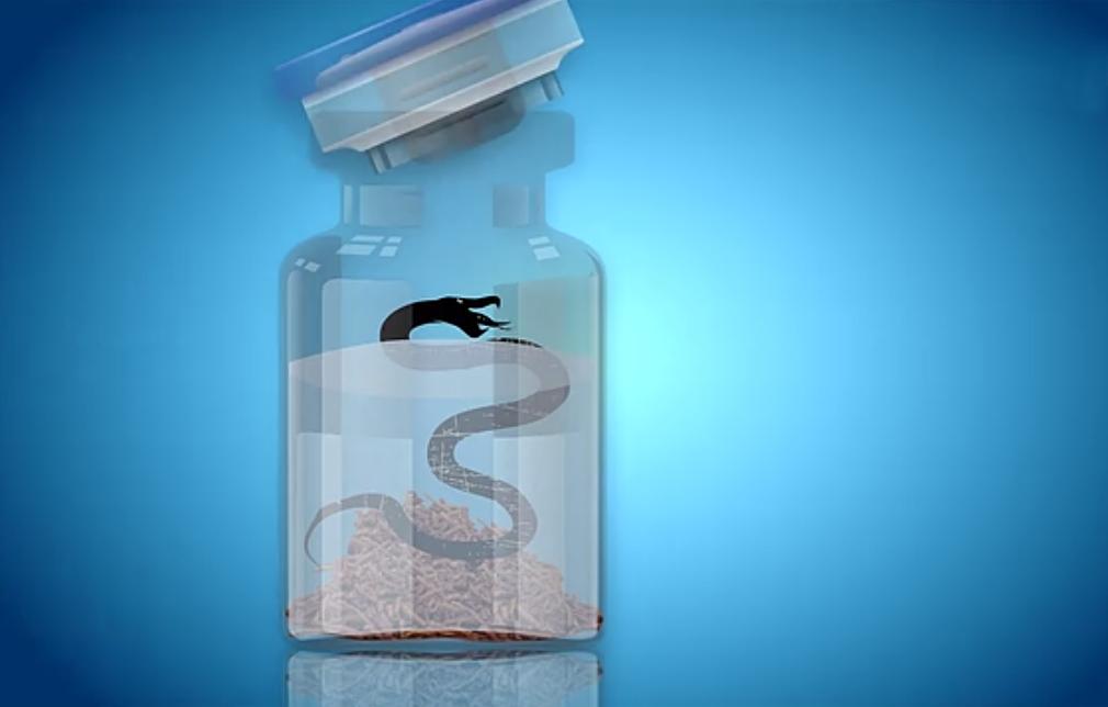 泡在酒里一年的毒蛇“复活”，村民开瓶被咬身亡！为何蛇还没死？