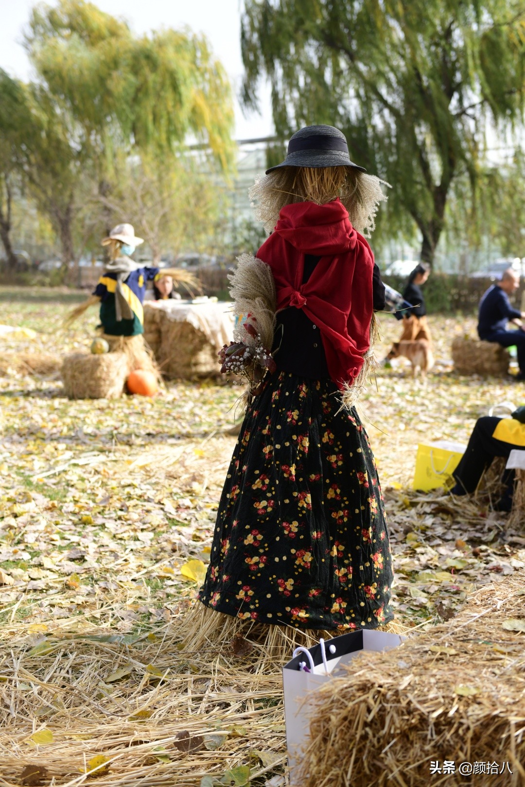 没有比利时花园游，来点比利时啤酒吧|随笔