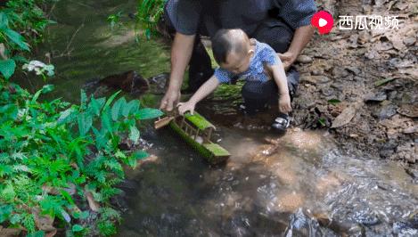 阿木爷爷在国外有多火完整视频,你认为阿木爷爷的视频为什么走红