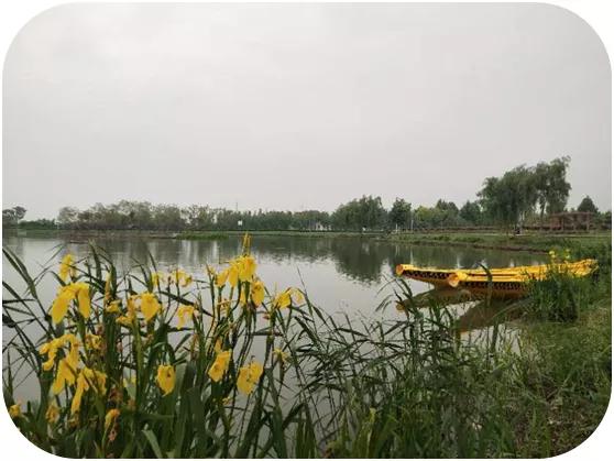 水调歌头湖心亭看雪,水调歌头荷花