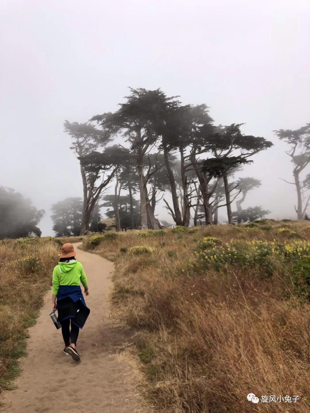 加州沿海1号公路自驾游散装系列（一）：阳光北加的金山依旧