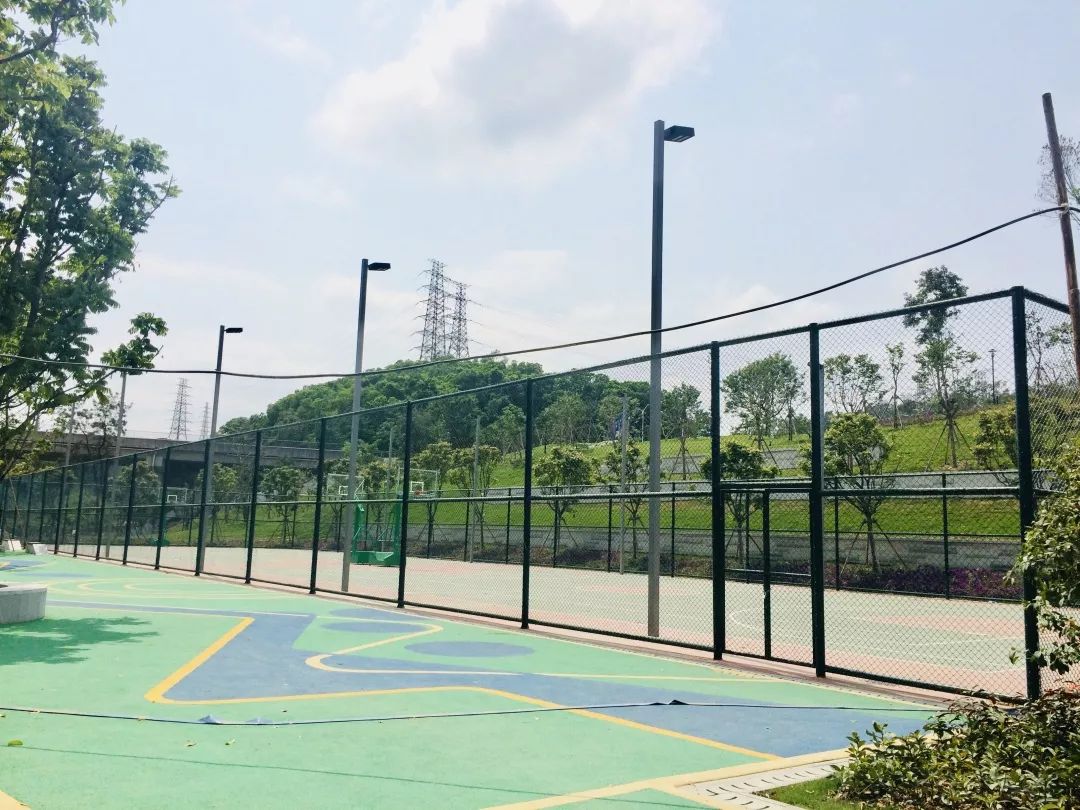 万科公园里6栋115平01户型,万科公园里一期106平户型图