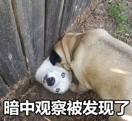 雨天开车后车镜有水咋办,开车雨刷坏了怎么处理