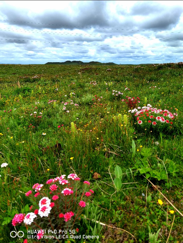 一条绝美草原之路,一条绝美的自驾公路