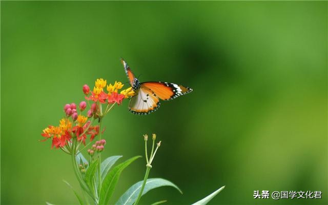 命不好是因为什么,命不好的人经常说什么话