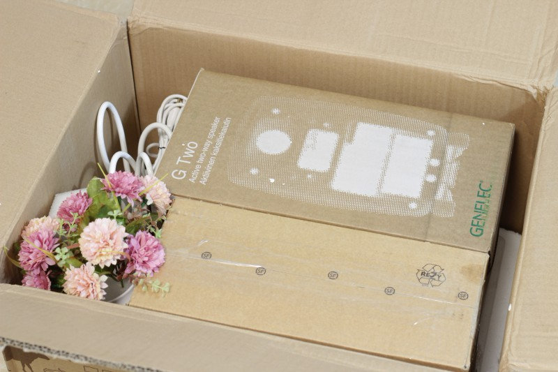 真力g2有源音响 (真力g2有源音箱听交响乐效果如何)