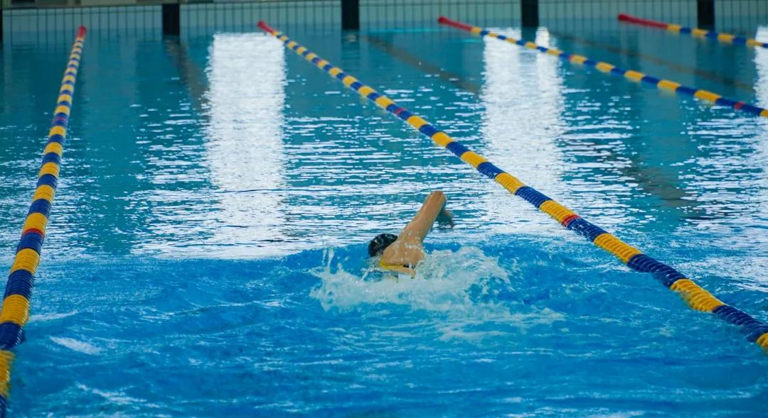 潍坊理工学院值得去吗,点评潍坊理工学院