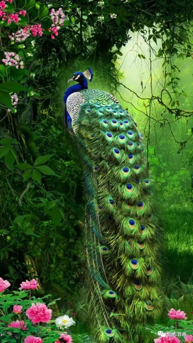 2020年绝美挂历送给你,天下第一福挂历2019年