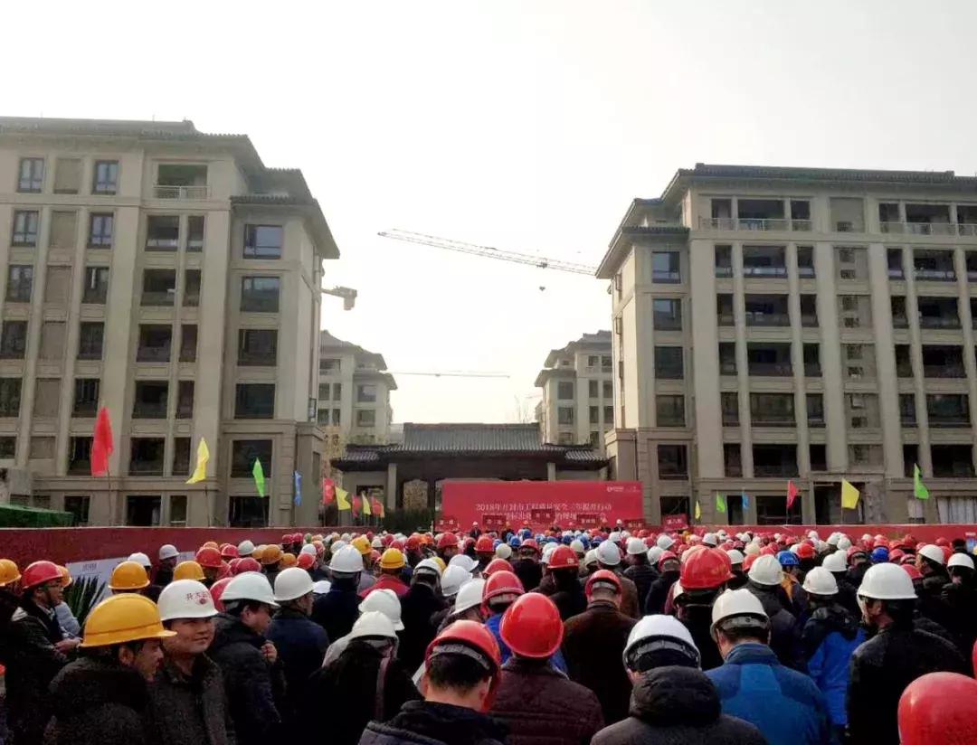 没忍住,还是再次来看了桃李春风