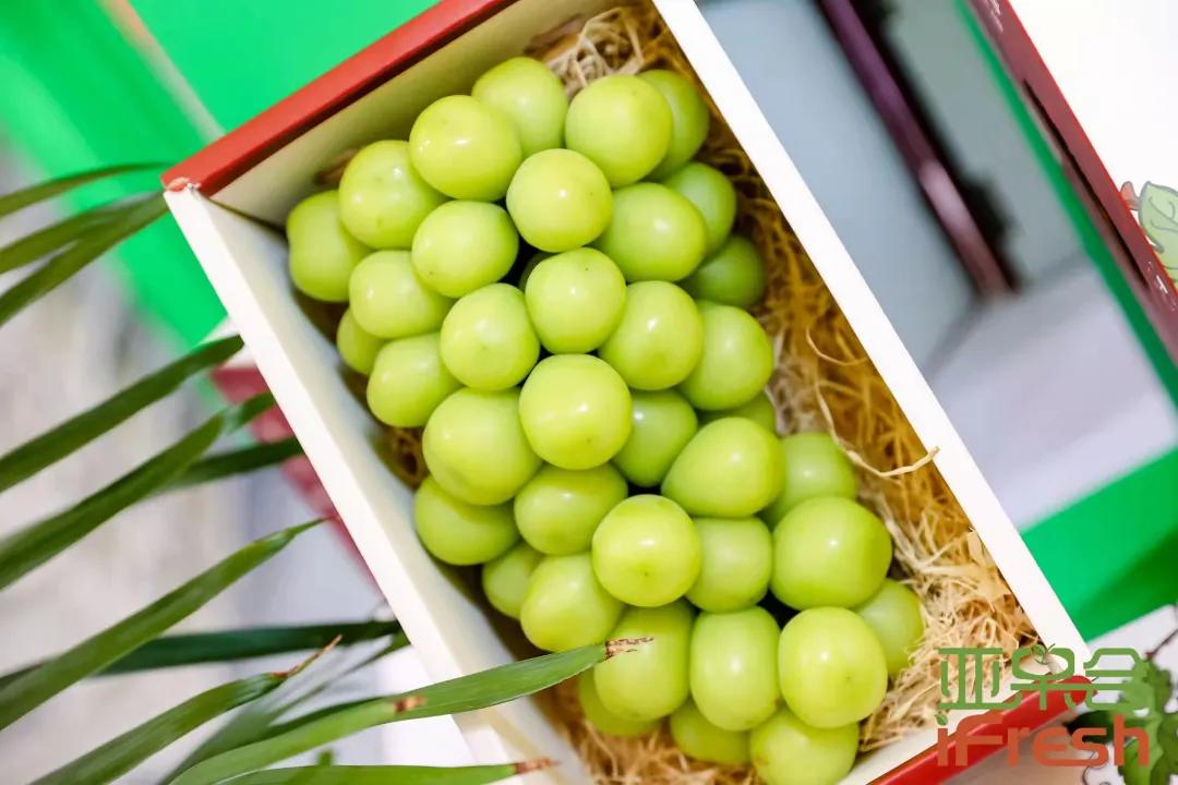 ifresh果蔬展,ifresh上海果蔬博览会