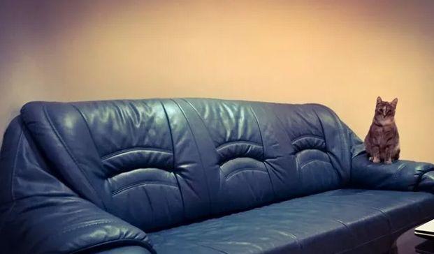 西安真皮沙发修复,专业修复皮沙发