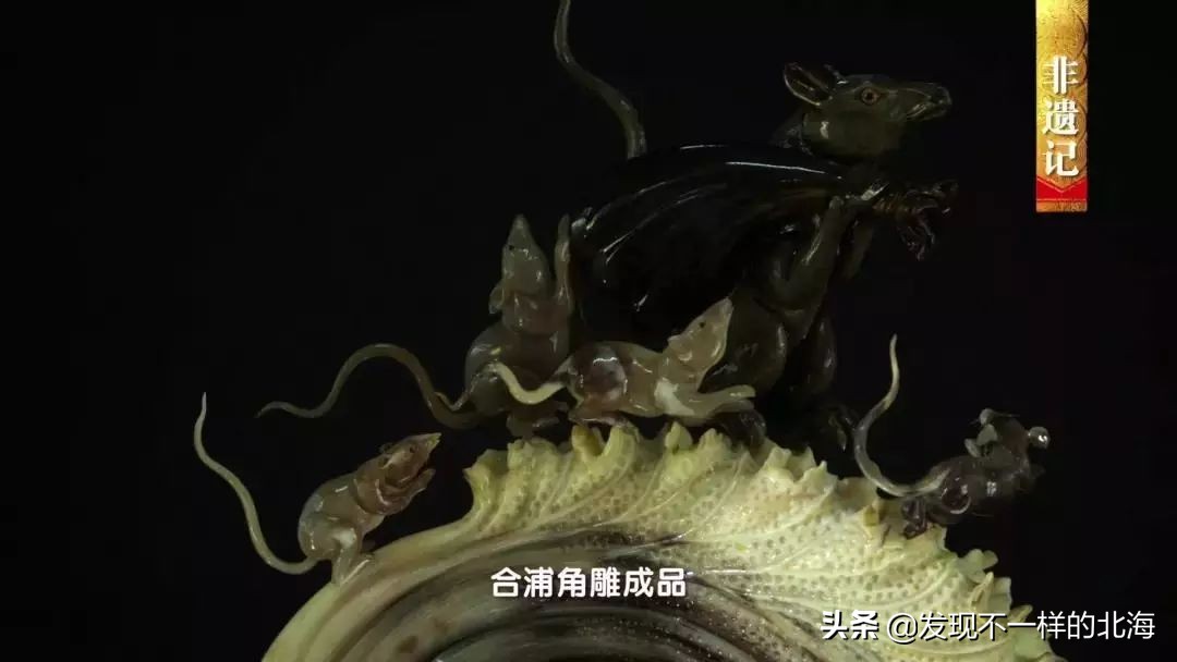 广西合浦是怎么样的？央视是这样全方位介绍这美丽的珠乡的