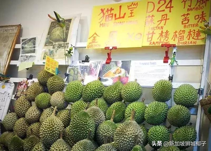 新加坡唯一的路边摊,新加坡路边摊美食推荐