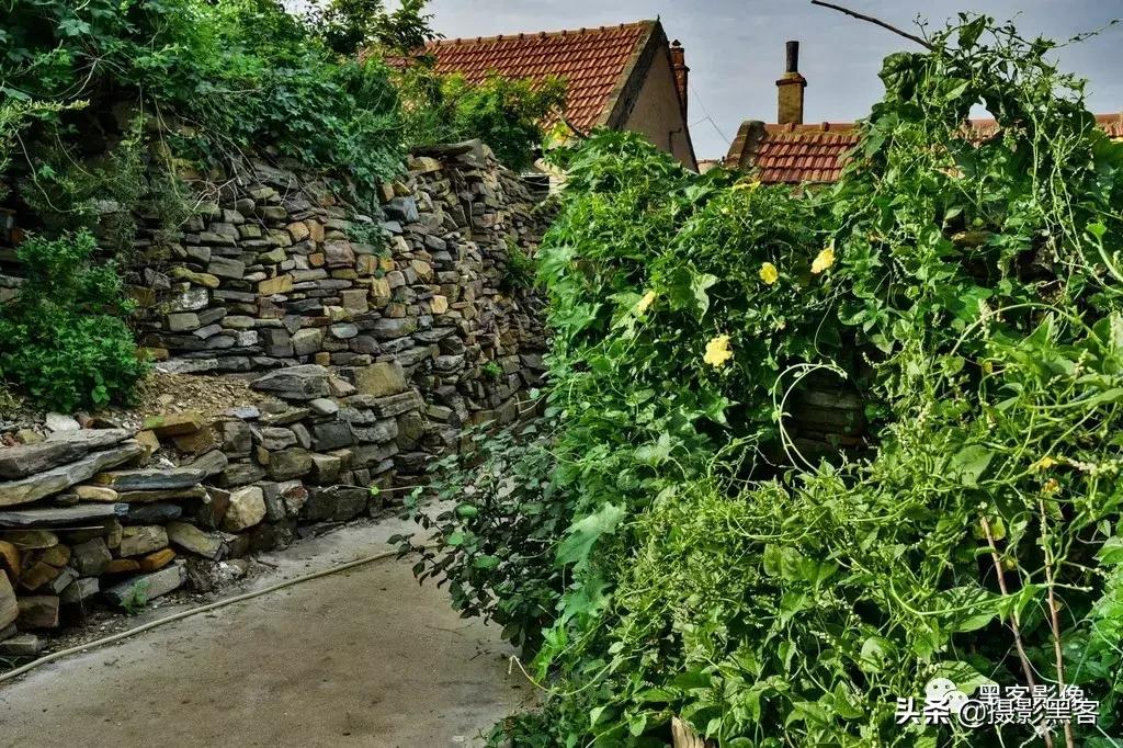 精致小青岛，秀美渔村入画来