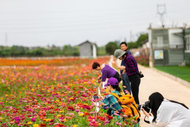 南浔古镇传统手工,十二道工序纯手工制作而成