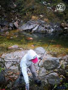 游钓篇｜渔在熊猫故里