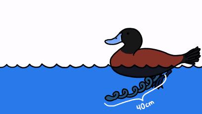 这些猫狗的照片,我也就看了10000多遍!